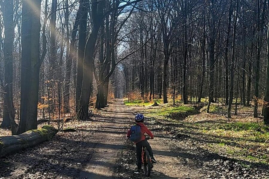 1724078544 roweryrezerwat