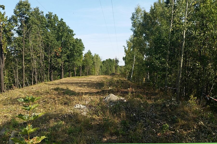 1751539916 zloty pociag walbrzych