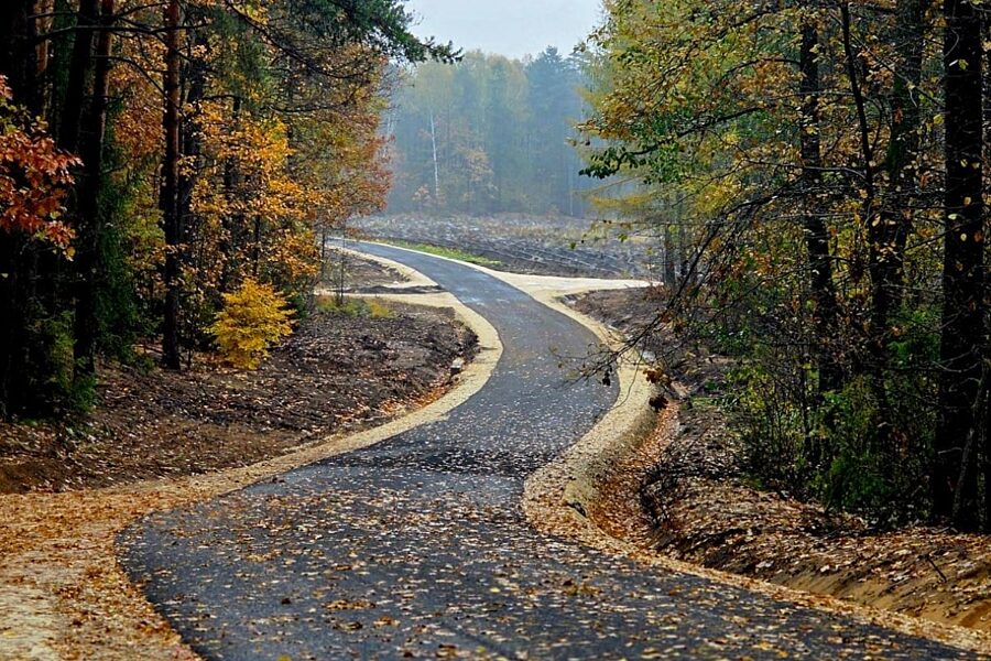 1762601624 ns n crop